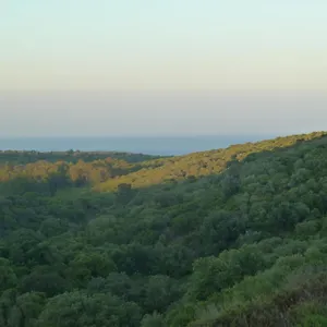 Alcaidesa Golf&nature Apartamento
